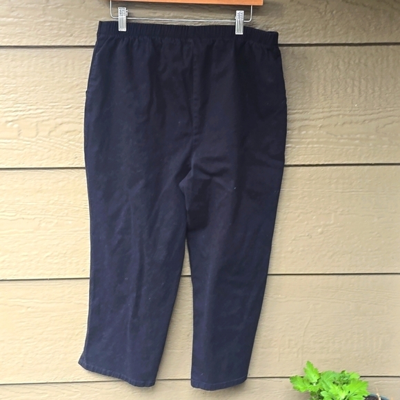 Quacker Factory Jeans  Black Denim Embellished Dragonfly Pocket Pull-on large - Picture 8 of 8